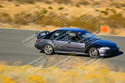 media/Nov-16-2024-Extreme Speed (Sat) [[6587d07cc4]]/Purple Group/Session 3 (The Bowl)/
